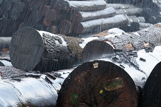 Rundhölzer unter Beregnung