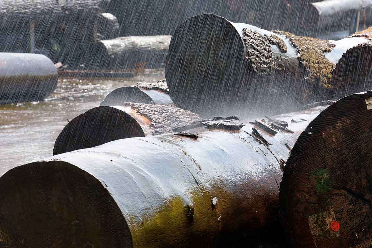 Rundholz unterm Sprenkler