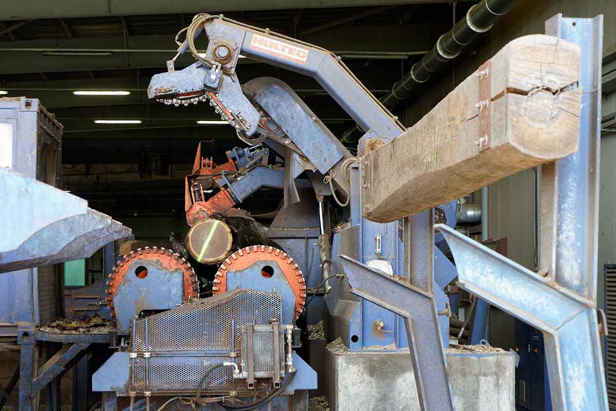 Baumstamm wird entrindet