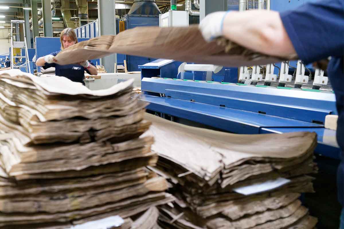 Entnahme der Furnierstreifen